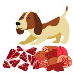 Le foie dans l’alimentation canine : bienfaits, risques et conseils pratiques