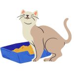 Toilettage du chat : techniques essentielles et leur impact sur la santé